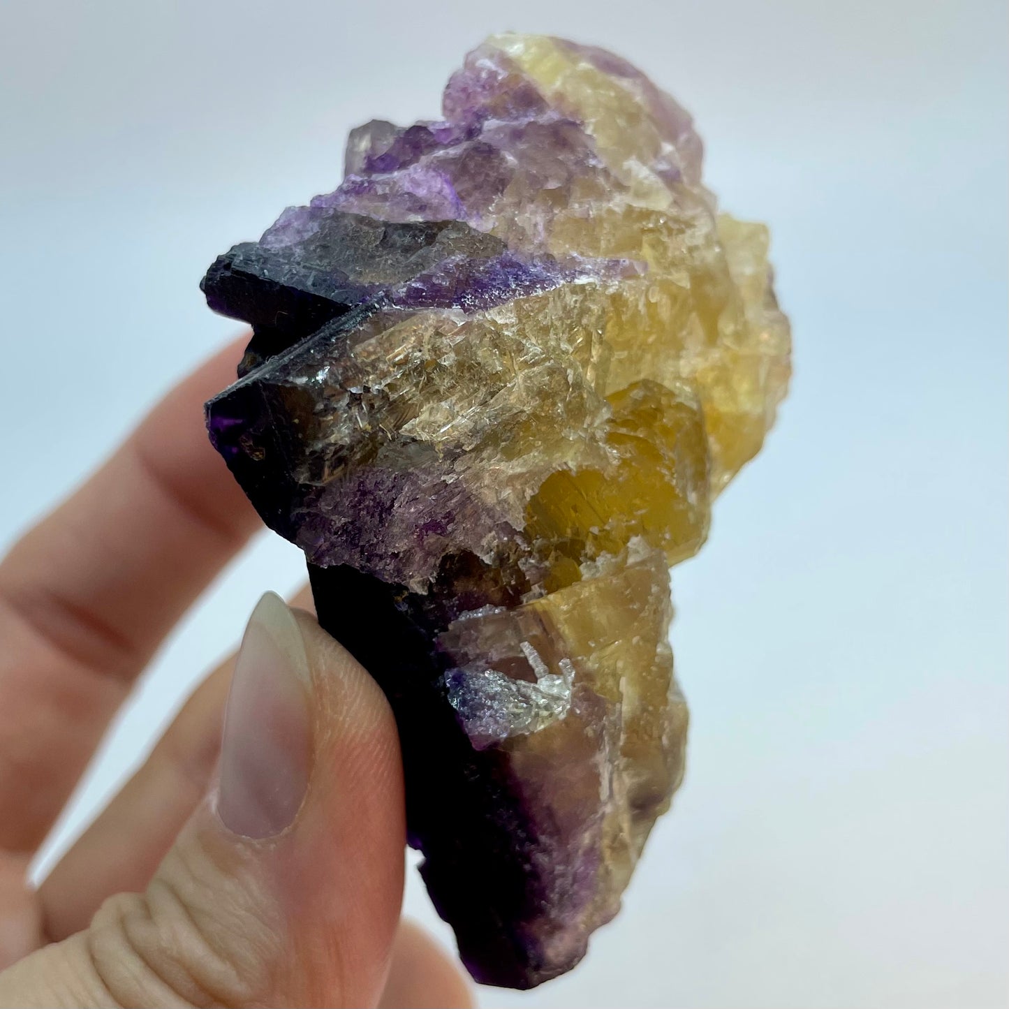 Yellow Purple Fluorite