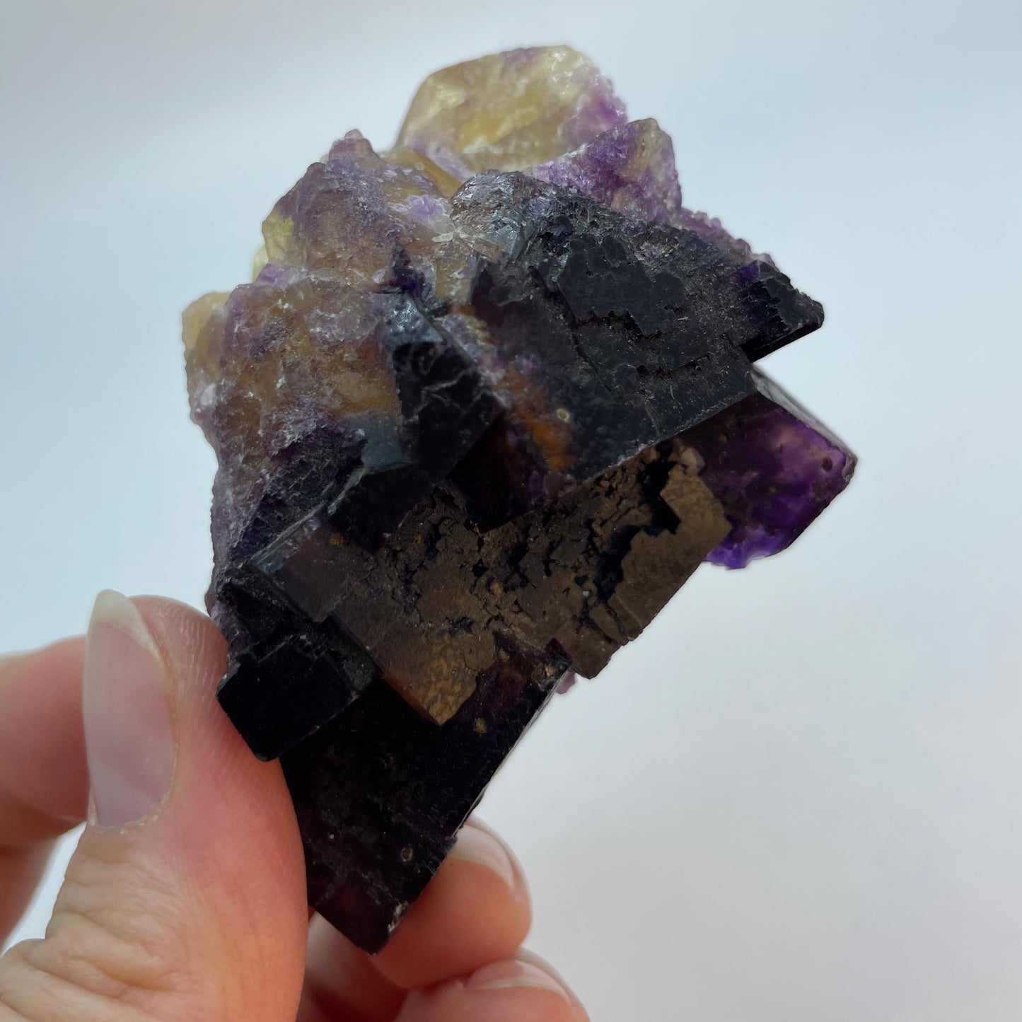 Yellow Purple Fluorite