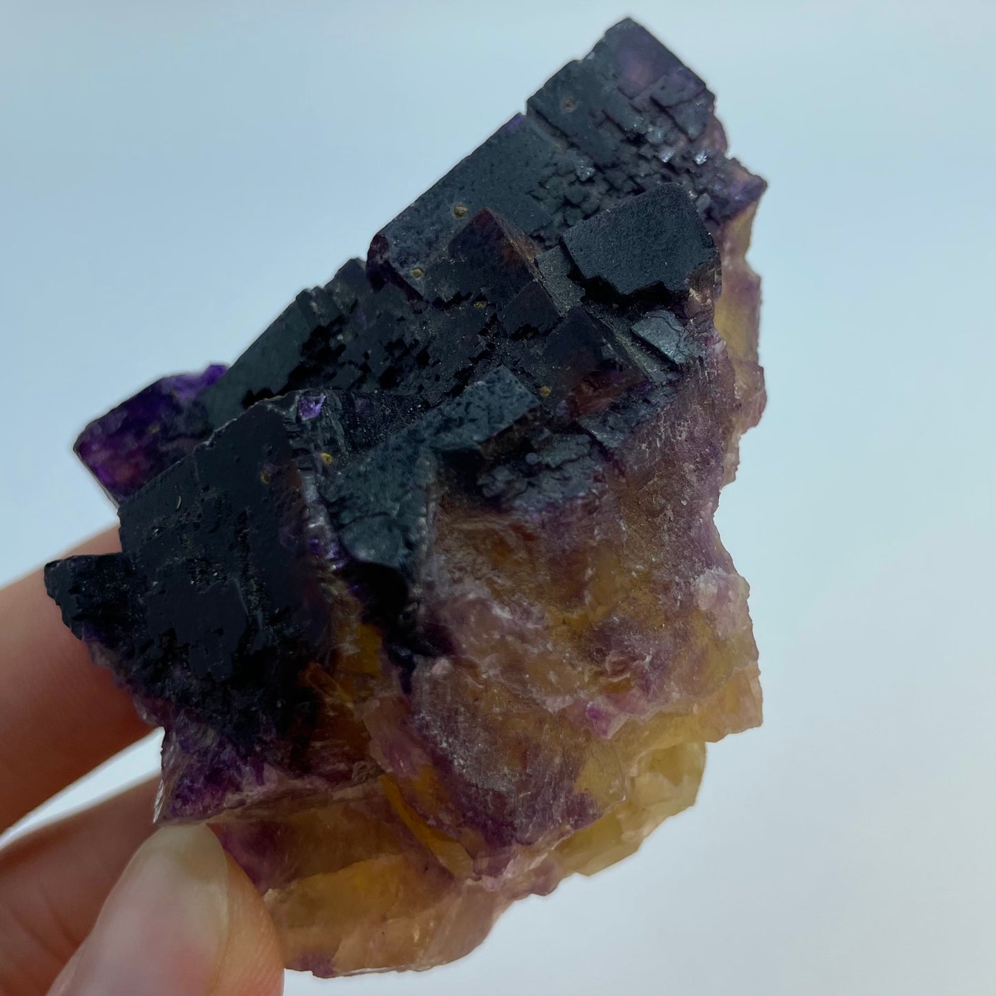 Yellow Purple Fluorite