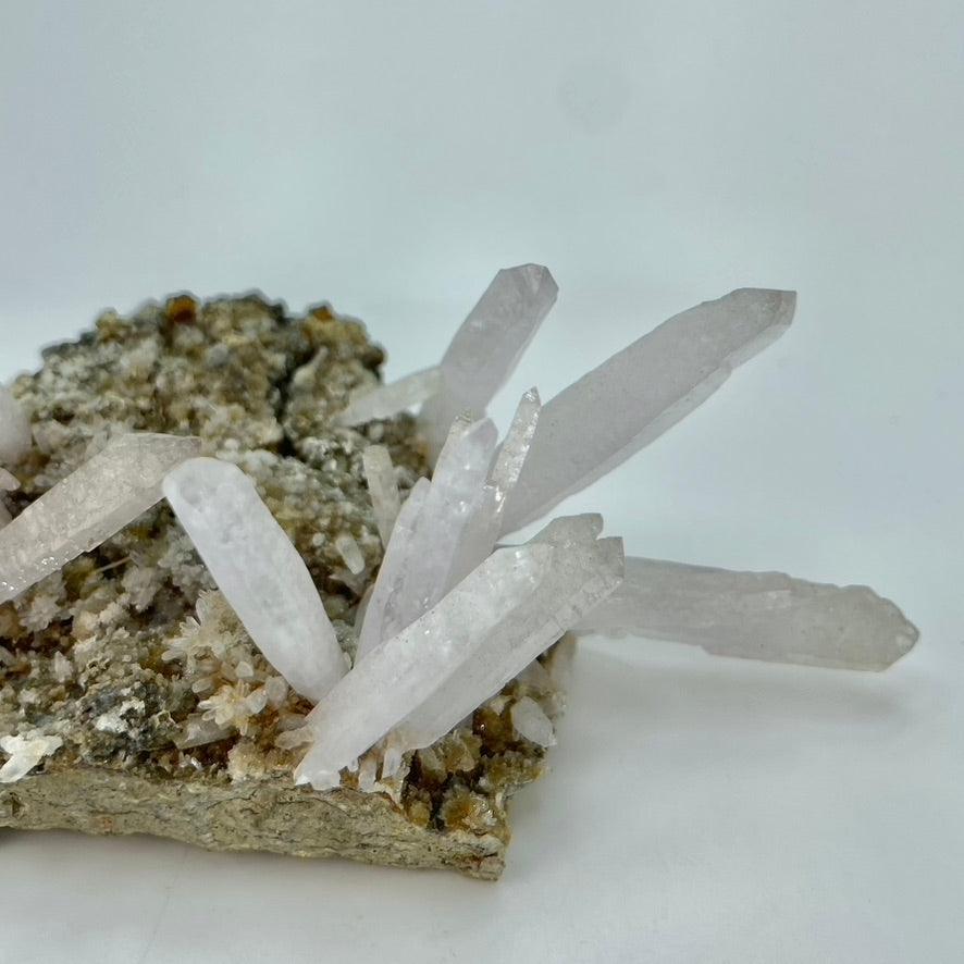 Amethyst Vera Cruz