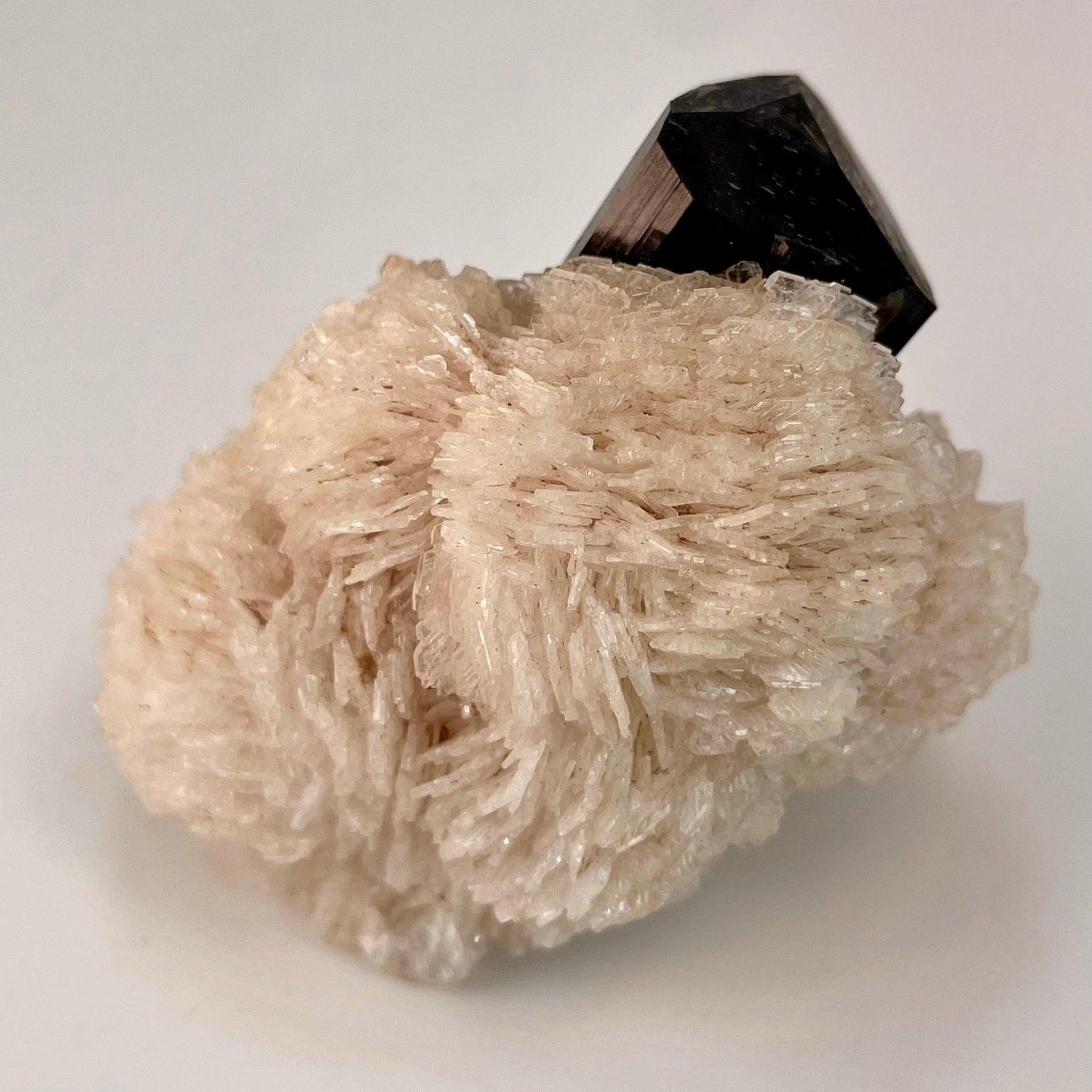 Black Tourmaline w/ feldspar