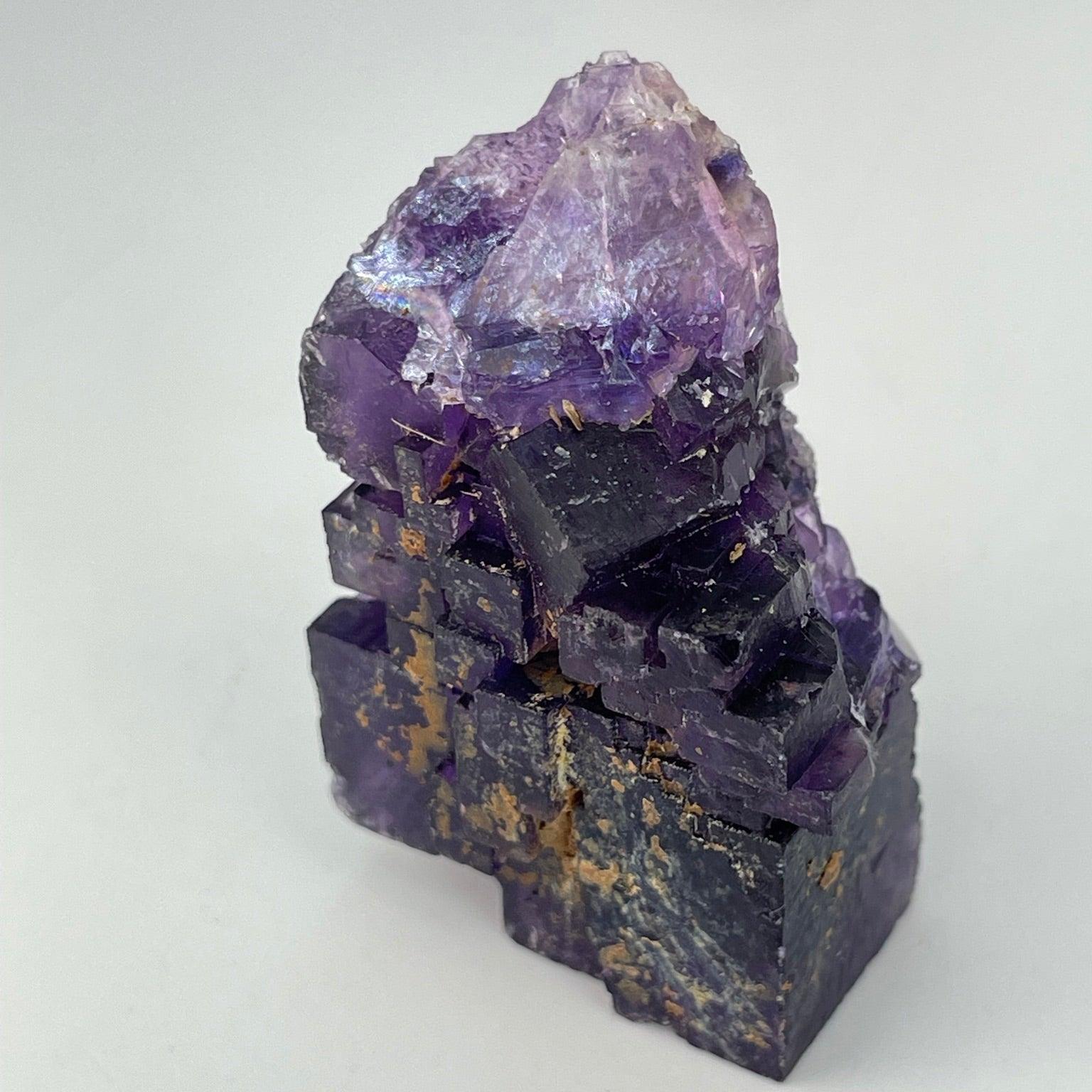 Fluorite Hastie