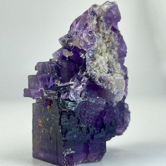 Fluorite Hastie