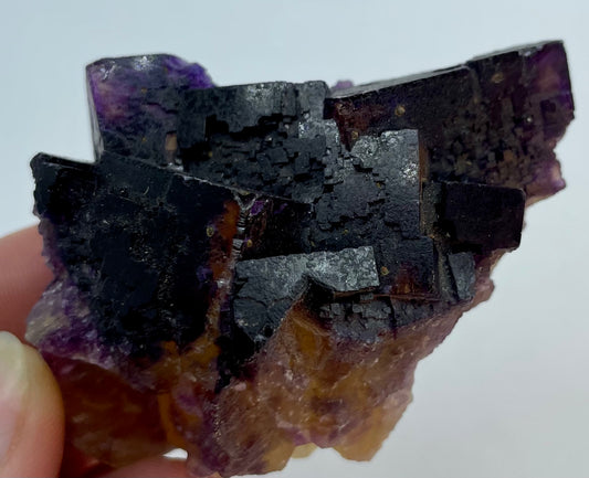 Yellow Purple Fluorite