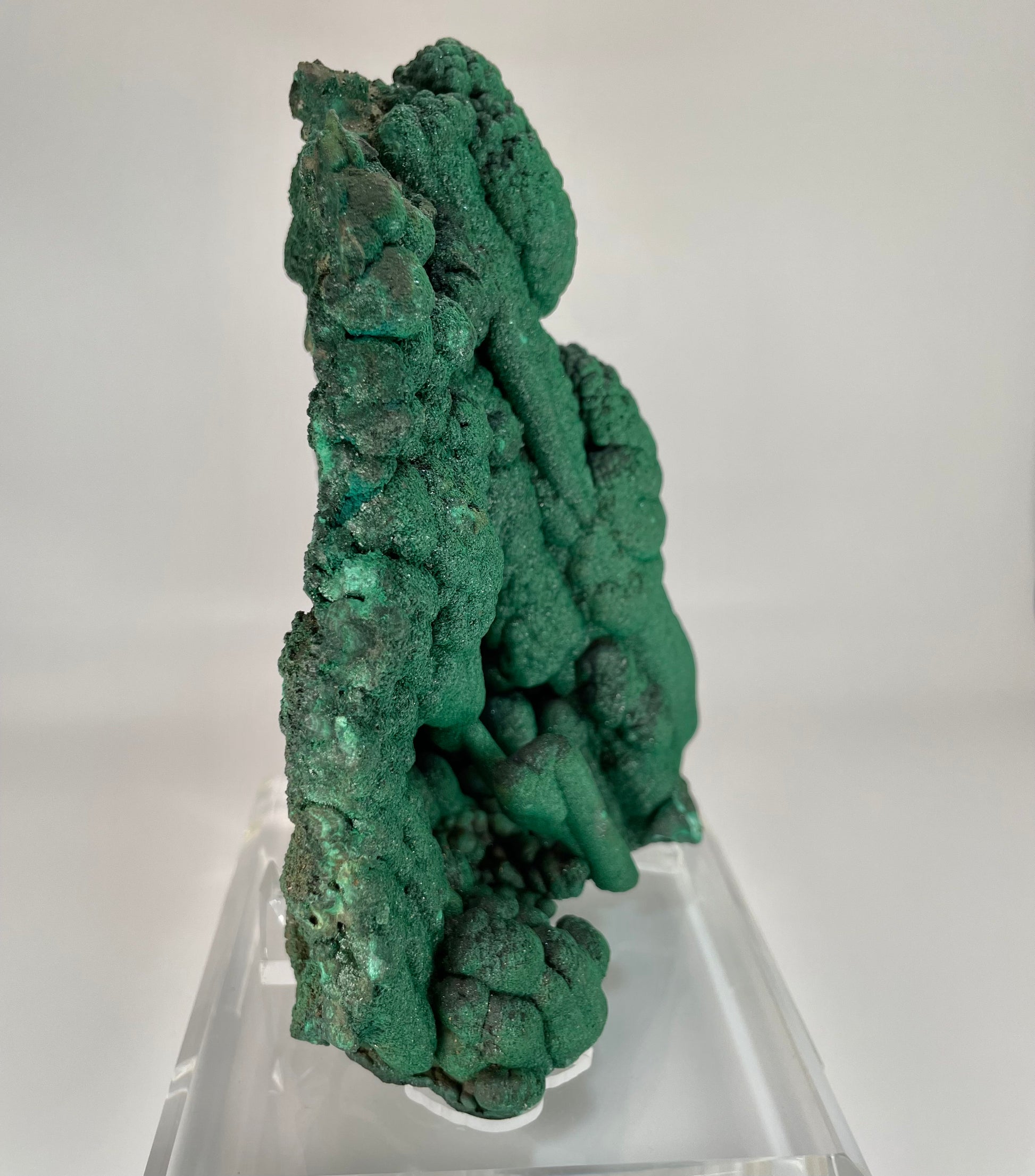 Halite Sclonite