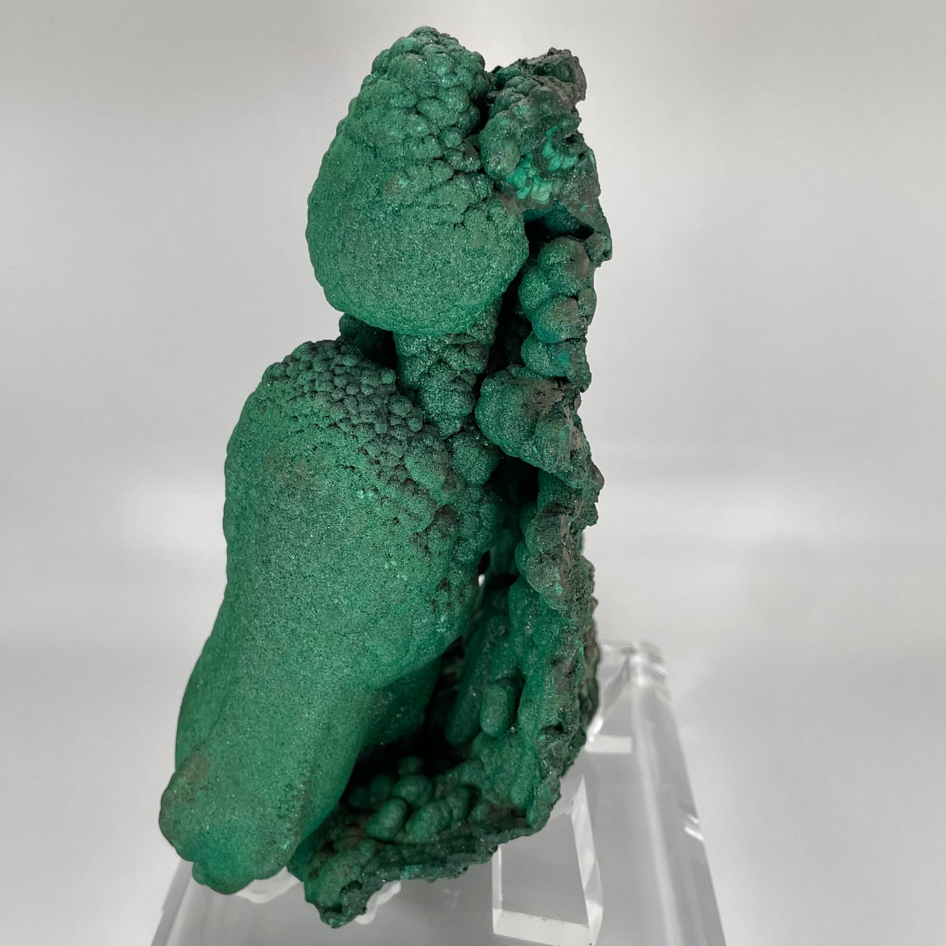 Halite Sclonite