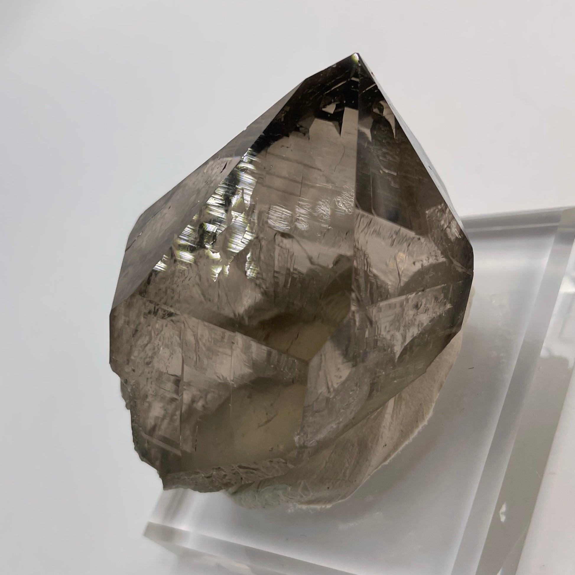 Poker Chip Calcite Bulgaria