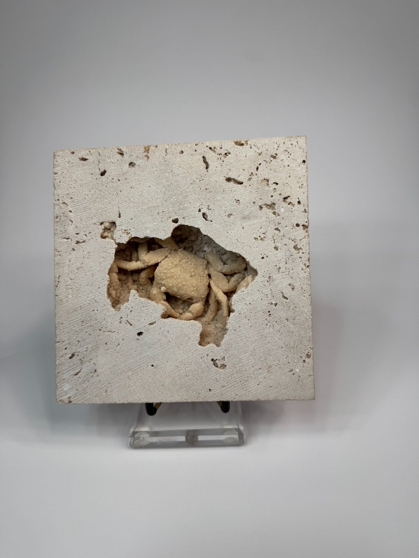 Fossilized crab in travertine from Denizli Basin, Turkey, view 1